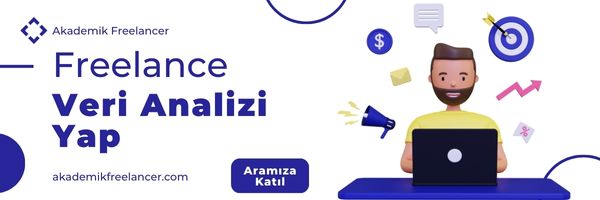 freelance veri analizi