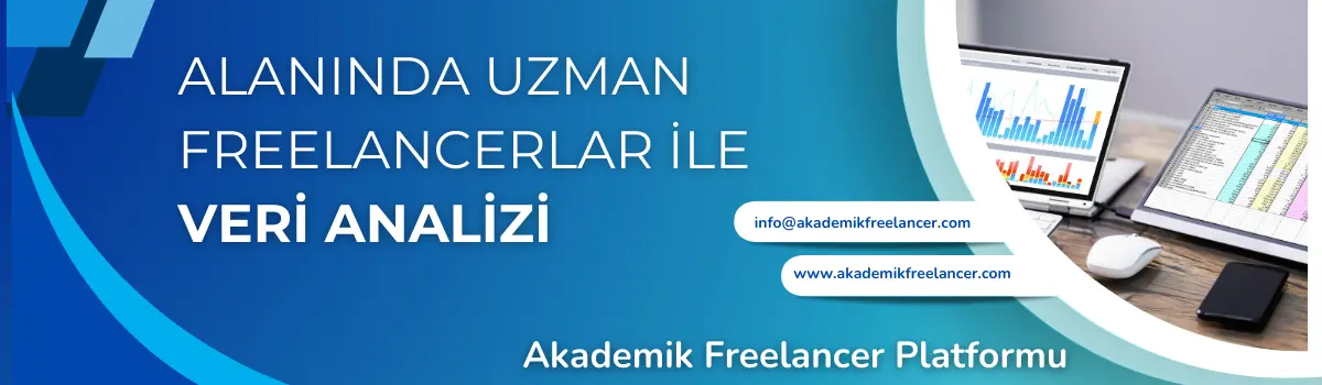 freelancer veri analizi