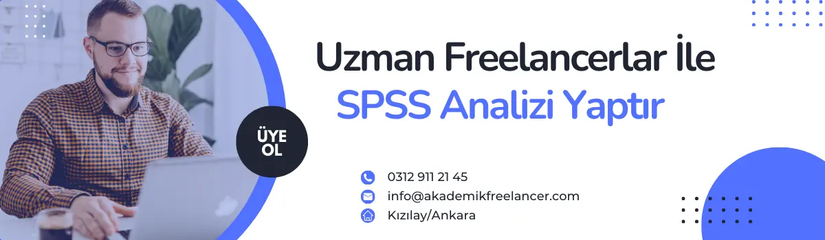 spss analizi ucretleri